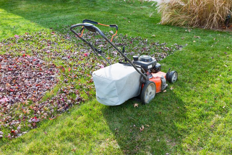 Winter Lawn Preparation