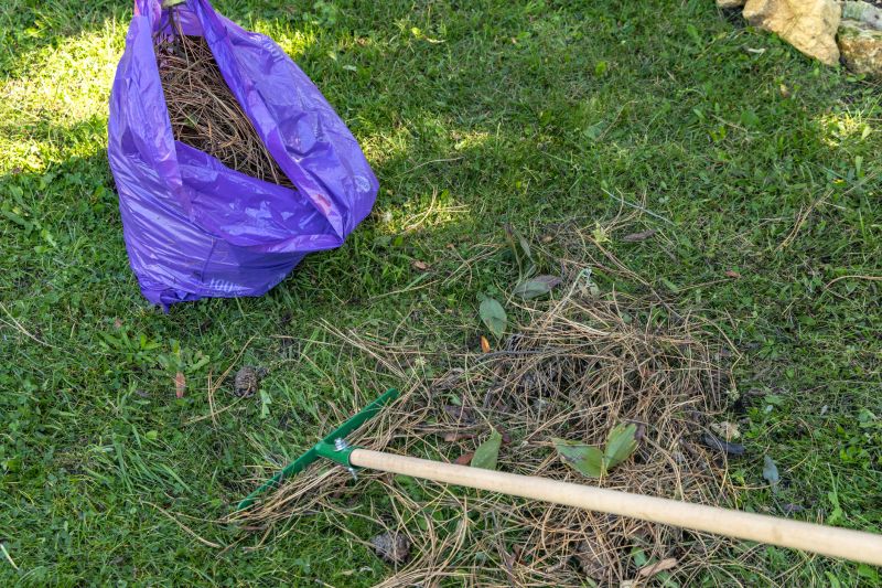 Yard Raking