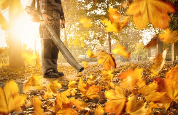 Leaf Blowing Service in Indio