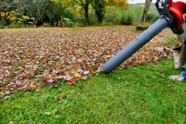 Leaf Vacuuming Service in Indio