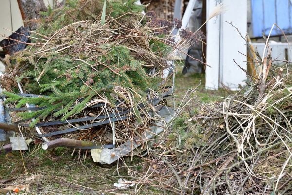 Yard Waste Removal Service in Indio