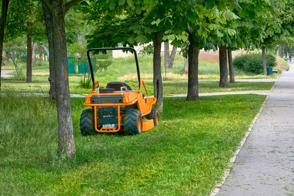 Landscaping Cleanup Service in Indio