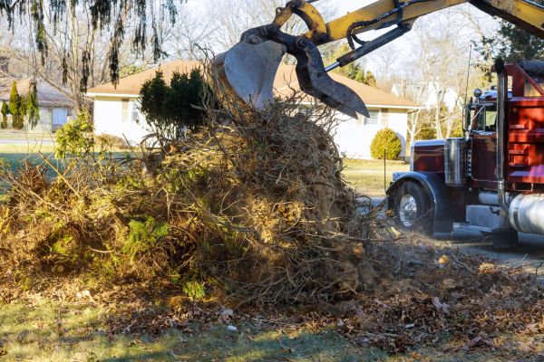 Storm Debris Removal in Indio