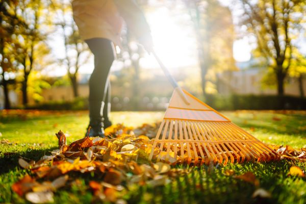 Leaves Raking in Indio