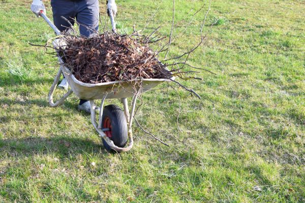 Yard Brush Removal in Indio