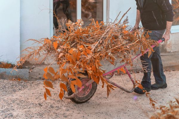 Cost of Lawn Debris Cleanup in Indio