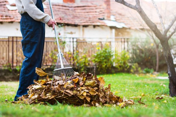 Spring Lawn Cleanup in Indio