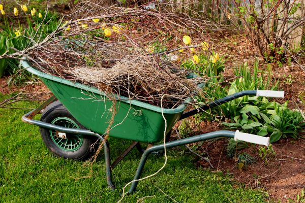 Lawn Waste Removal in Indio