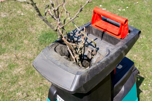 Cost of Brush Cleanup Service in Indio