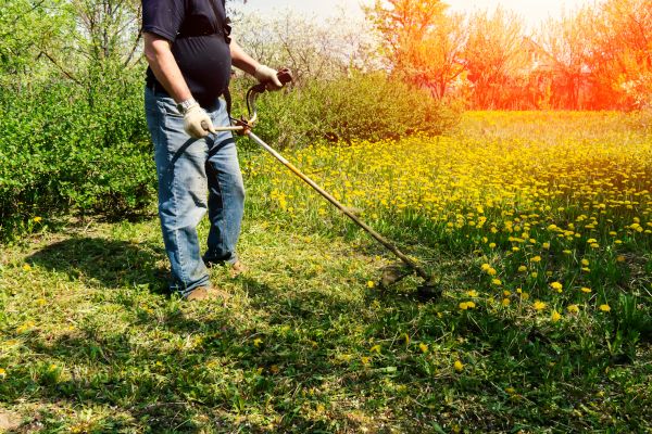 Yard Clearing Service in Indio