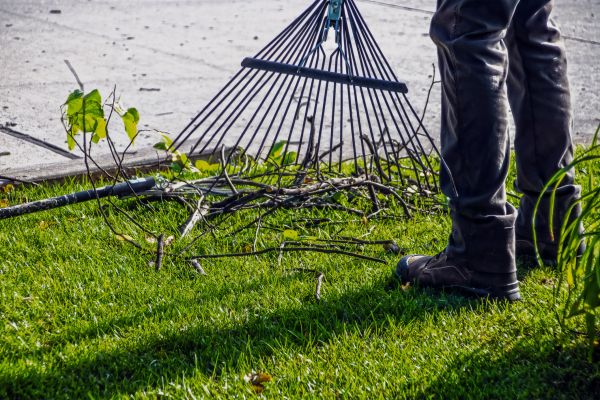 Yard Debris Cleanup in Indio
