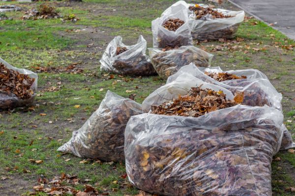 Leaf Pile Disposal in Indio