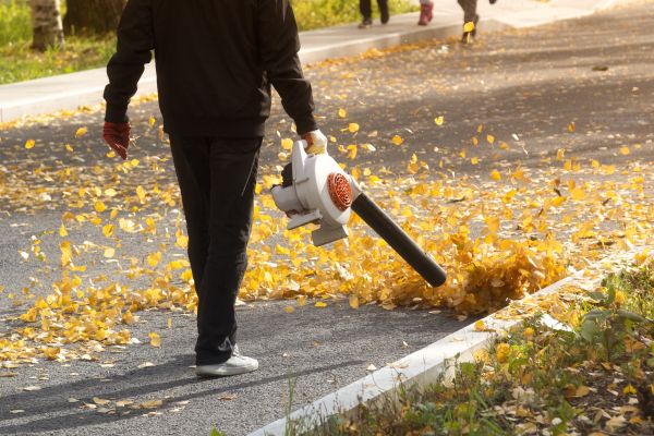 Commercial Leaf Removal in Indio